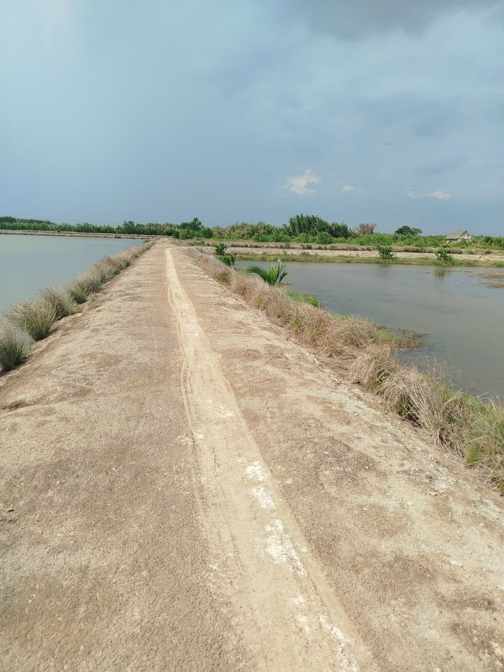 Bán đất huyện Cần Giờ thành phố Hồ Chí Minh giá 1.3 tỷ-3