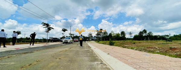 Thị Xã Phú Mỹ, Tỉnh Bà Rịa - Vũng Tàu bán đất, diện tích thực dài 340 m2-03