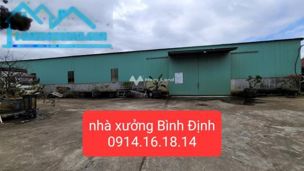 Vị trí mặt tiền tọa lạc trên Cát Trinh, Bình Định cần bán kho bãi 5500m2 giá bán chốt nhanh từ 12 tỷ pháp lý nhanh-01