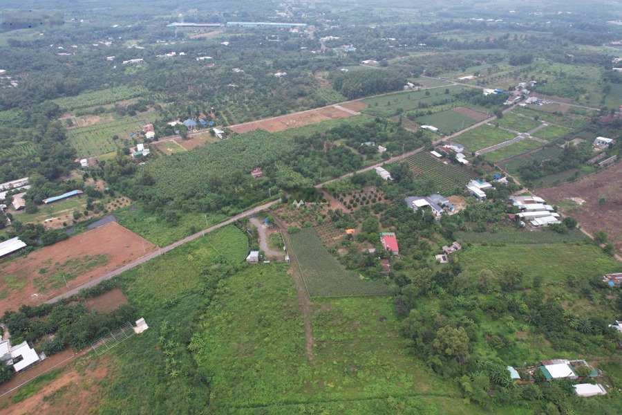 Nằm trong mức 880 triệu bán đất diện tích rộng là 100m2 vị trí thuận lợi ở Hưng Lộc, Đồng Nai-01