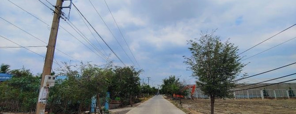 1.65 tỷ bán đất dt chính là 150m2 vị trí đẹp Nguyễn Thị Bài, Cần Giuộc-03