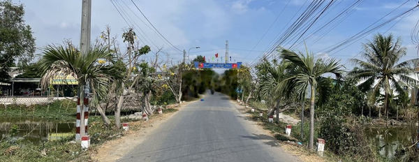 Cần bán 528m2 ( 12m x 46m ) đất thị trấn Cần Giuộc, kết nối TPHCM 15km -02