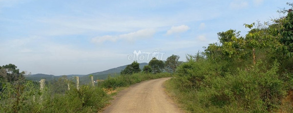 Vị trí tiện lợi Gung Ré, Lâm Đồng bán đất, giá bán êm 850 triệu diện tích trong khoảng 1000m2-03