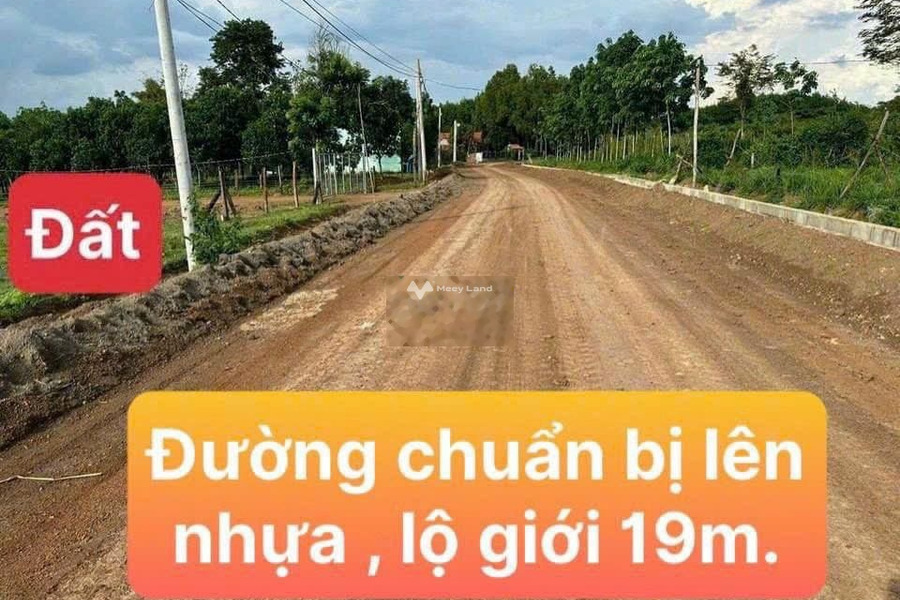 Bán đất Lộc Thành, Bình Phước 350 triệu diện tích 1000m2-01