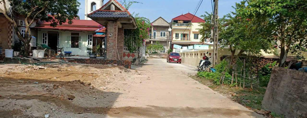 Sóc Sơn, Hà Nội bán đất diện tích rộng lớn 60m2-02