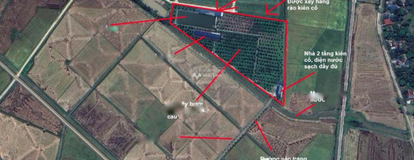 Vị trí phát triển Nông Cống, Thanh Hóa bán đất, giá bán 5.9 tỷ diện tích rộng lớn 140m2-03