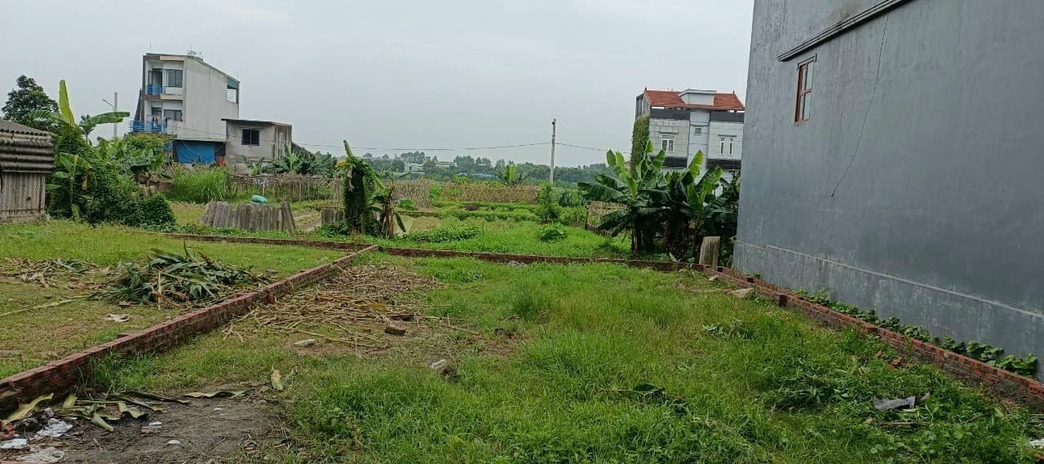 Bán gấp mảnh đất ở Tô Hiệu, Hà Đông