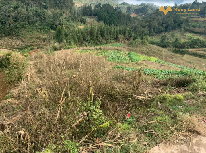 Cơ hội có một không hai, đầu tư chắc chắn sinh lời, thôn Tà Chải, Tả Phìn, Sapa-01