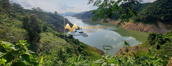 Bán đất dt chung quy 22000 m2 vị trí thuận lợi nằm trên Xã Thung Nai, Tỉnh Hòa Bình-03