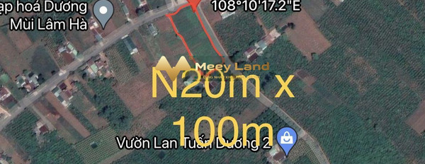 Bán đất 2000m2 tại xã Liên Hà, huyện Lâm Hà, giá 2,8 tỷ-03
