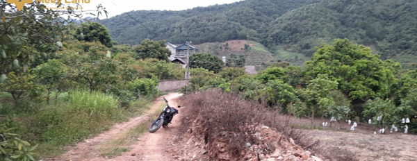 Bán mảnh đất mặt đường quốc lô 43 Mường Sang, lối đi cửa khẩu Lóng Sập, biên độ tăng giá cao-02