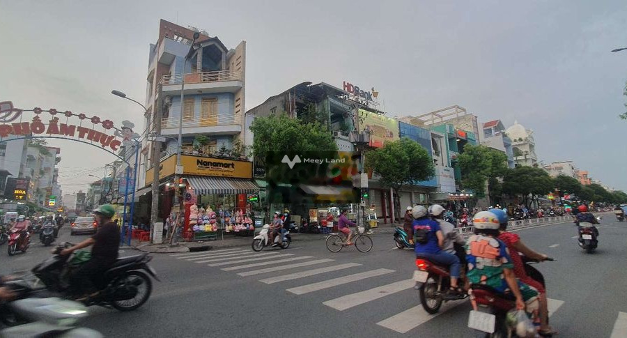 Bán nhà vị trí tốt ngay Nguyễn Nhữ Lãm, Hồ Chí Minh. Diện tích 25m2, giá 3,27 tỷ-01