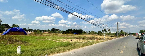 Phước Vân, Cần Đước 1.2 tỷ bán đất Diện tích nền 167m2-02
