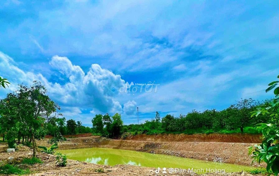 Vị trí đẹp Vĩnh Cửu, Đồng Nai bán đất giá bán thương mại chỉ 5.2 tỷ diện tích thực là 13000m2-01