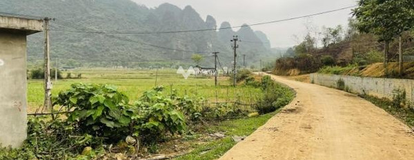Cần bán đất vị trí đẹp tọa lạc ở Nuông Dăm, Kim Bôi. Diện tích 166005m2-03