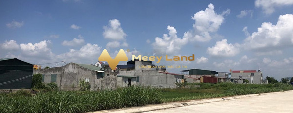 Giá bán ưu đãi 1.78 tỷ bán đất dt 212 m2 vị trí thuận lợi tọa lạc tại Tỉnh Lộ 506, Thanh Hóa-03