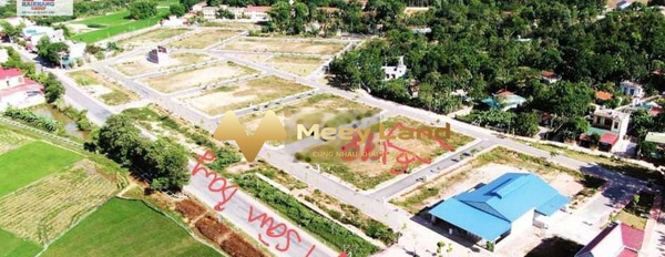 Giá bán thương lượng chỉ 800 triệu bán đất toàn bộ khu vực có diện tích 108 m2 nằm trên Dân Lực, Triệu Sơn-02