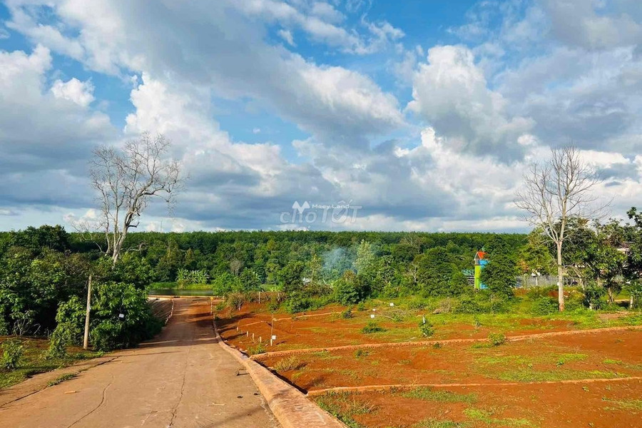 Cư Suê, Đắk Lắk 1.25 tỷ bán đất toàn bộ khu vực có diện tích 120m2-01