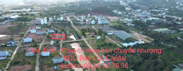 Ngay Bảo Lộc, Lâm Đồng bán đất 9 triệu có diện tích 200m2-02