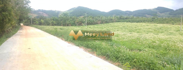 Bán đất có diện tích thực 518m2 vị trí thuận lợi nằm trên đường Tỉnh Lộ 725, tỉnh Lâm Đồng-03