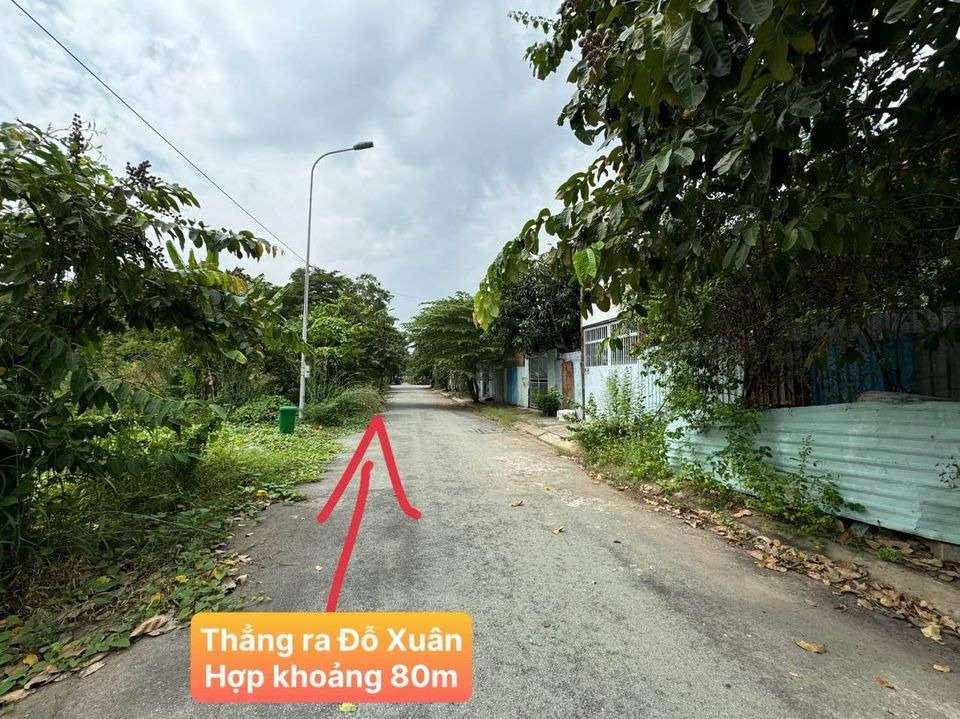 Bán đất quận 9 thành phố Hồ Chí Minh giá 103.0 triệu/m2-1