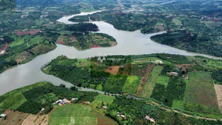 Bán đất 88.89 tỷ Nâm N'Jang, Đắk Song diện tích rộng là 1970m2-01