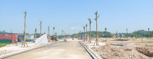 Nhã Nam, Bắc Giang 1 tỷ bán đất với diện tích 85m2-03