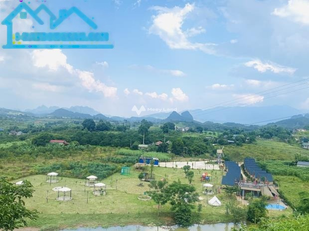 Giá bán êm 400 triệu, Bán đất diện tích thực khoảng 3387m2 vị trí đẹp tại Bắc Phong, Cao Phong còn chần chờ gì nữa-01