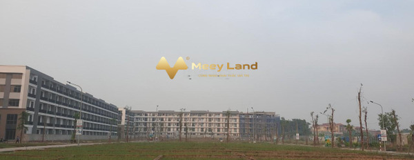 Trực thuộc TMS Grand City Phúc Yên bán mảnh đất diện tích 70m2-03