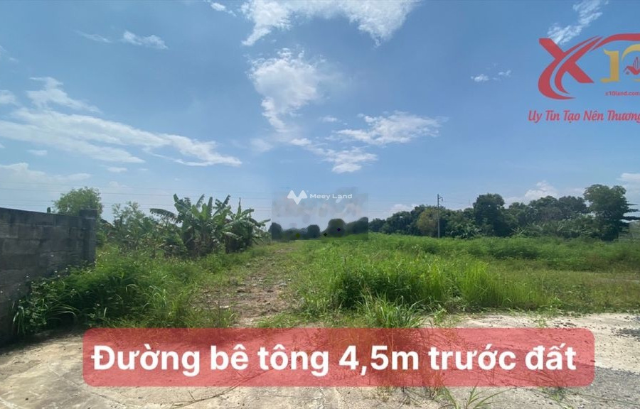 Bán 10 lô đất sào xã Suối Cát, huyện Xuân Lộc-01