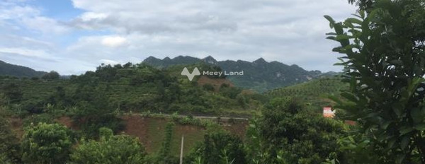 Chiềng Sơn, Mộc Châu bán đất giá bất ngờ từ 700 triệu với diện tích chuẩn 960m2-03