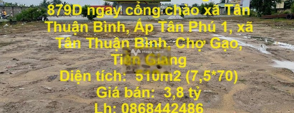 Đất đường tỉnh 879Dngay cổng chào xã Tân Thuận Bình,Chợ Gạo,Tiền Giang -02