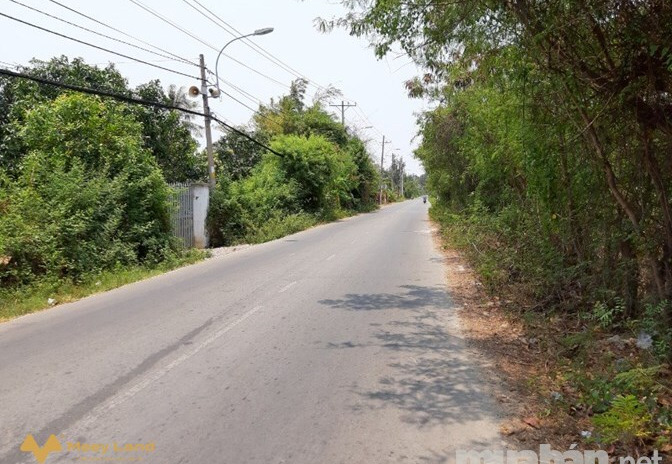 Bán đất mặt tiền đường Rừng Sác, xã Bình Khánh, huyện Cần Giờ