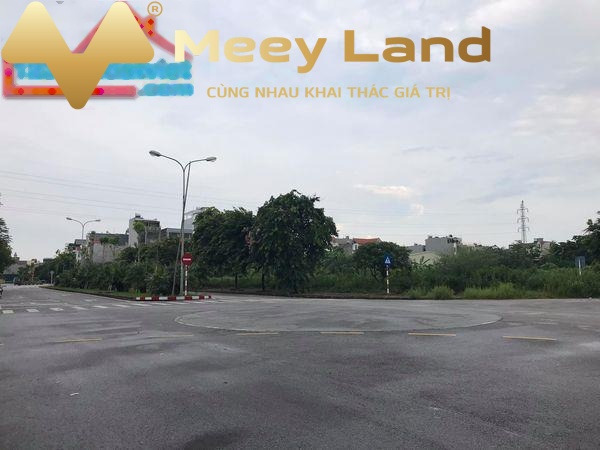 Thanh Bình, Hải Dương bán đất giá giao động chỉ 81.9 tỷ dt dài 1638 m2-01