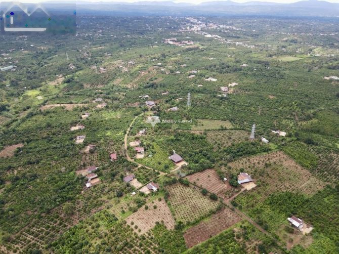 Tại Ea Tóh, Đắk Lắk bán đất 369 triệu tổng diện tích 530m2-01