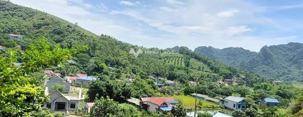 Mặt tiền nằm tại Lương Sơn, Hòa Bình bán đất giá bán cực sốc chỉ 6.08 tỷ diện tích chung là 9000m2-03