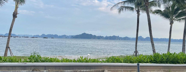 Suất nội bộ biệt thự mặt biển Hạ Long 916m2 siêu VIP trực diện biển Bãi Cháy, nhận nhà ở ngay -03