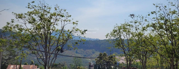 Xuân Thọ, Lâm Đồng bán đất giá chỉ từ chỉ 7.8 tỷ với diện tích thực 523m2-03