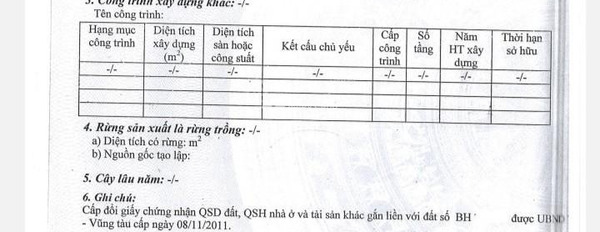 Về quê định cư cho thuê kho bãi diện tích rộng lớn 400m2 vị trí đặt ngay trên Rạch Dừa, Vũng Tàu còn chần chờ gì nữa-02