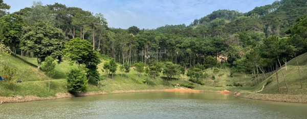 Bán biệt thự vị trí đẹp nằm tại Ngọc Thanh, Vĩnh Phúc. Diện tích 234m2-03