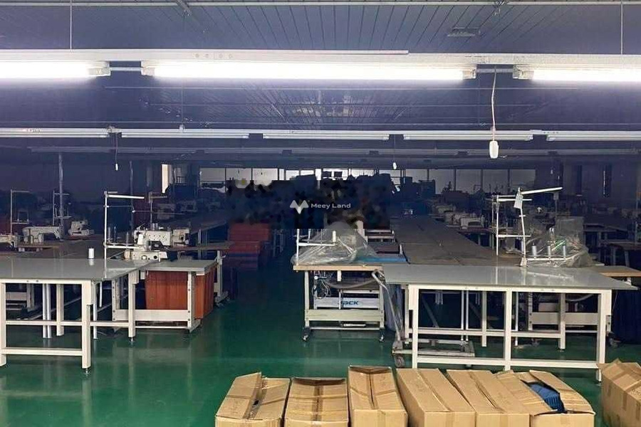 Vị trí mặt tiền ngay trên Đường Cn1, Tân Phú cho thuê kho bãi 2000m2 giá thuê bất ngờ chỉ 160 triệu/tháng còn chần chờ gì nữa-01