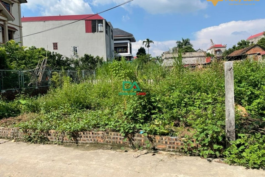 Bán đất trục chính xóm Đầm, Vân Nội, Đông Anh, 46,7m2, giá nhỉnh tỷ-01