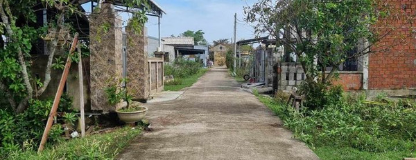 Mua bán đất huyện Phú Vang, tỉnh Thừa Thiên Huế giá 1,2 tỷ-02