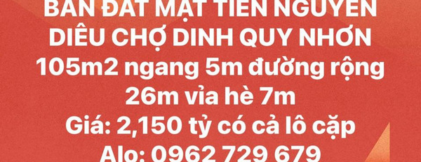 Mua bán đất thành phố Quy Nhơn-02