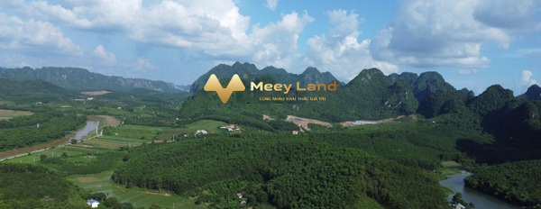 Huyện Lạc Thủy, Tỉnh Hòa Bình bán đất giá vô cùng rẻ chỉ 1250 tỷ diện tích rộng 3111 m2-03