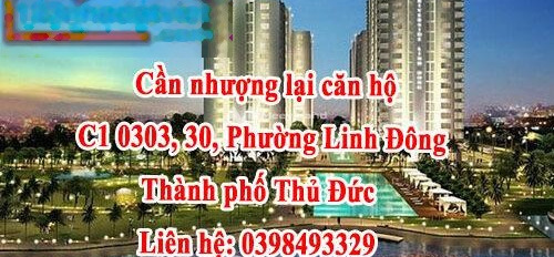 Cho thuê chung cư vị trí đặt vị trí ở Linh Đông, Thủ Đức thuê ngay với giá khởi điểm từ 7 triệu/tháng-03