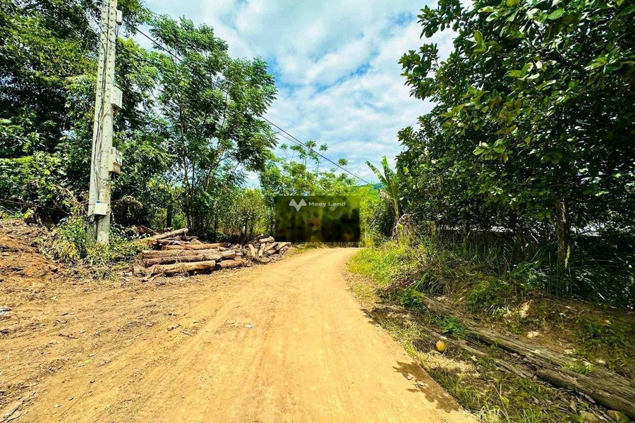 Khoảng từ 240 triệu bán đất có diện tích chung 131m2 vị trí thuận tiện ngay tại Khánh Vĩnh, Khánh Hòa-01