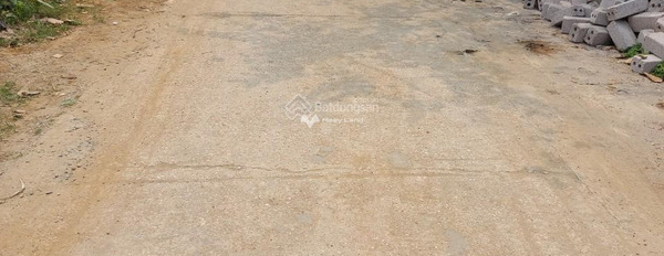 Bán đất lô góc siêu đẹp 375,5m2 tại Nghĩa Sơn, Kim Sơn-02