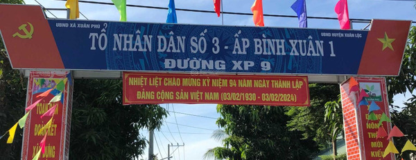 Bán 334m2 đất thổ cư 96m2 cách QL1A 400m thuận lợi làm kho nhà xưởng -03