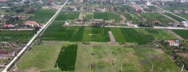 Nga Thanh, Thanh Hóa 590 triệu bán đất diện tích đúng với trên ảnh 173m2-03